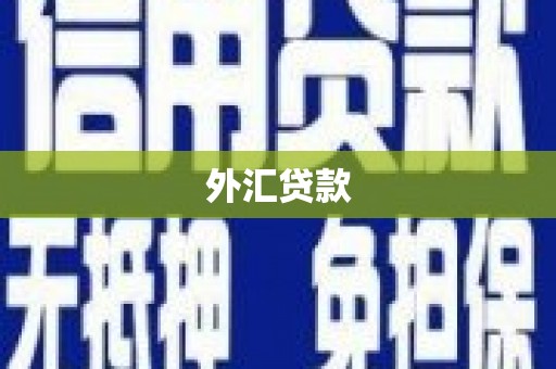 固始外汇贷款