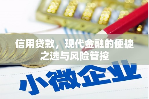 固始信用贷款，现代金融的便捷之选与风险管控
