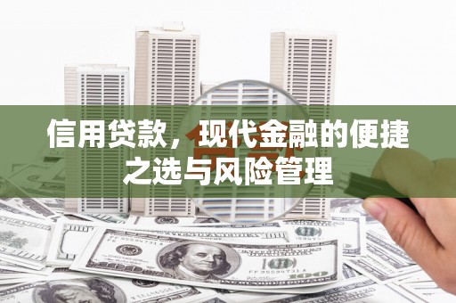 固始信用贷款，现代金融的便捷之选与风险管理