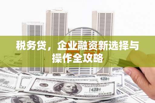 固始税务贷，企业融资新选择与操作全攻略