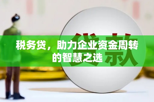 固始税务贷，助力企业资金周转的智慧之选