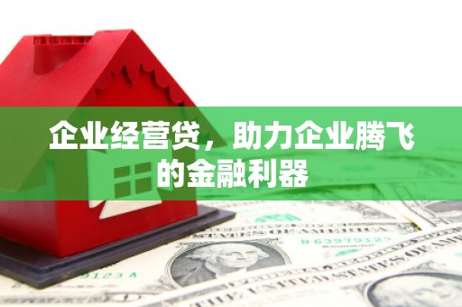 固始企业经营贷，助力企业腾飞的金融利器