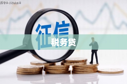 固始税务贷