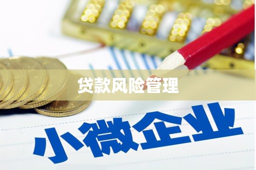 固始贷款风险管理