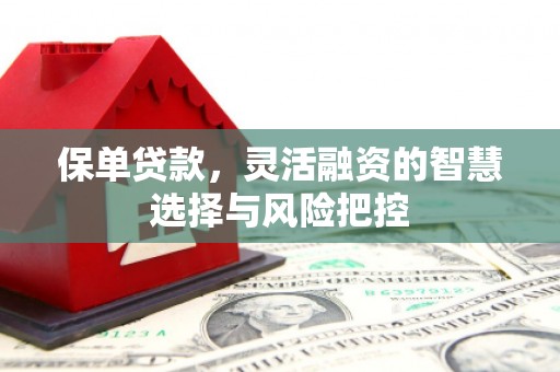 固始保单贷款，灵活融资的智慧选择与风险把控