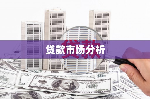 固始贷款市场分析