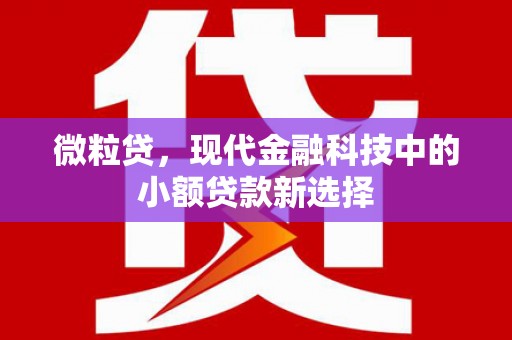 固始微粒贷，现代金融科技中的小额贷款新选择