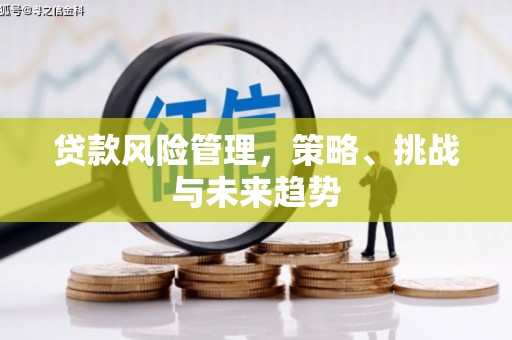 固始贷款风险管理，策略、挑战与未来趋势