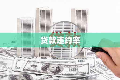 固始贷款违约率