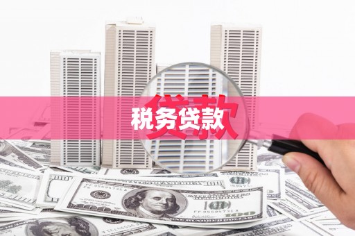 固始税务贷款