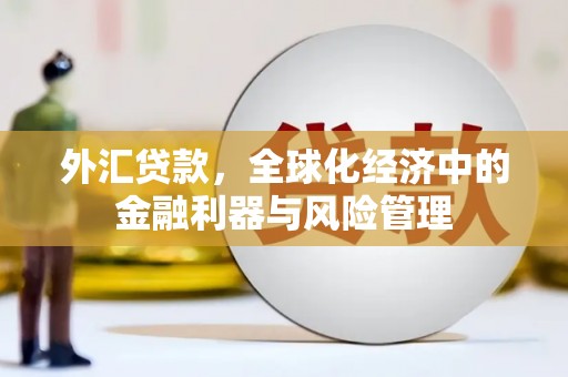 固始外汇贷款，全球化经济中的金融利器与风险管理