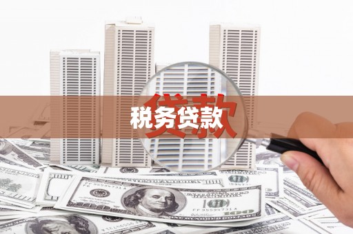 固始税务贷款
