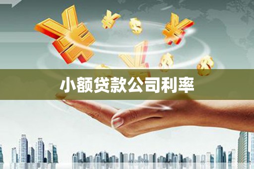 固始小额贷款公司利率