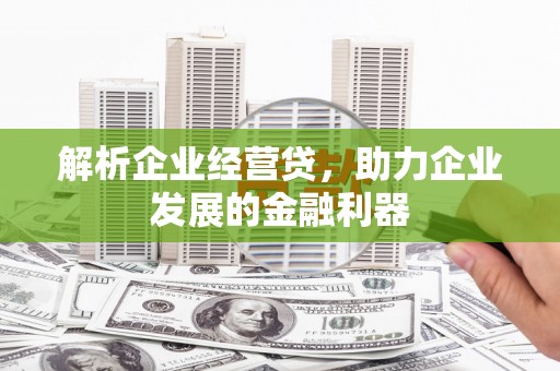 固始解析企业经营贷，助力企业发展的金融利器
