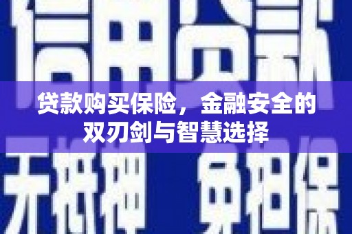 固始贷款购买保险，金融安全的双刃剑与智慧选择