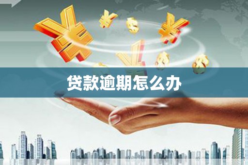 固始贷款逾期怎么办
