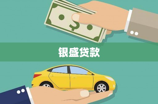 固始银盛贷款