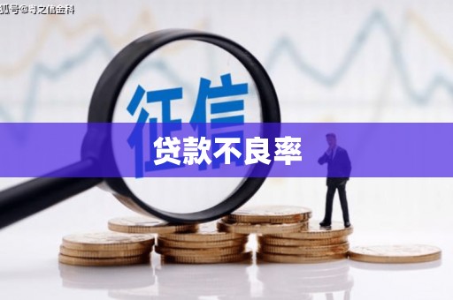 固始贷款不良率