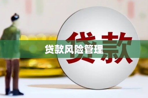 固始贷款风险管理