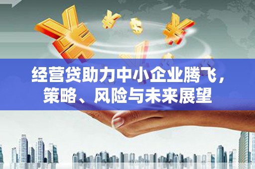 固始经营贷助力中小企业腾飞，策略、风险与未来展望