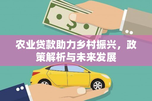 固始农业贷款助力乡村振兴，政策解析与未来发展
