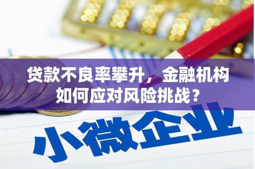 固始贷款不良率攀升，金融机构如何应对风险挑战？
