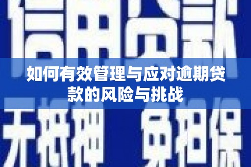 固始如何有效管理与应对逾期贷款的风险与挑战
