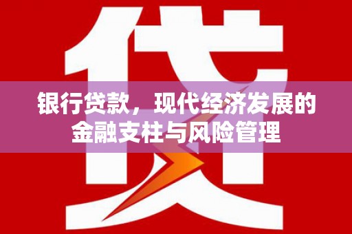 固始银行贷款，现代经济发展的金融支柱与风险管理