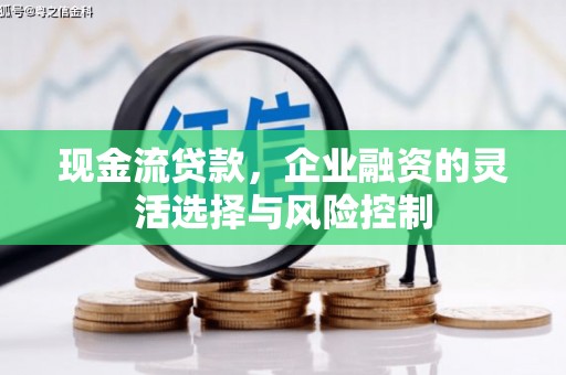 固始现金流贷款，企业融资的灵活选择与风险控制