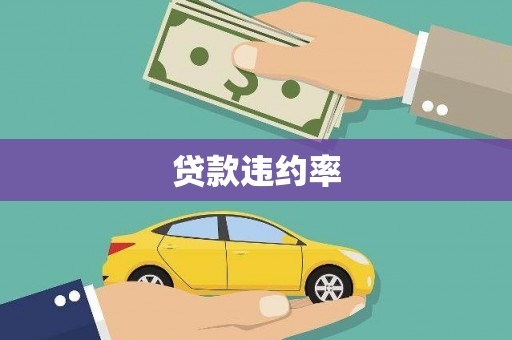 固始贷款违约率
