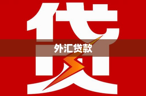 固始外汇贷款