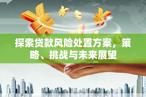 固始探索贷款风险处置方案，策略、挑战与未来展望