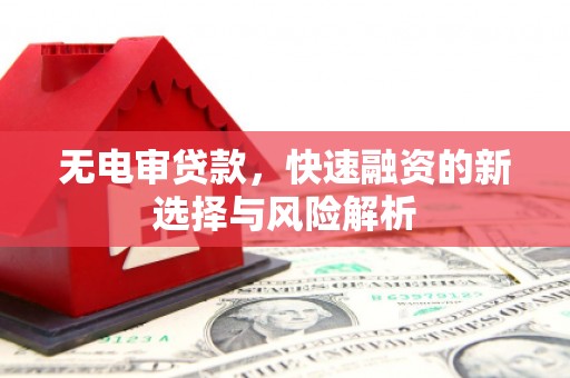 固始无电审贷款，快速融资的新选择与风险解析