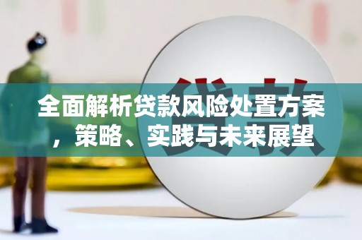 固始全面解析贷款风险处置方案，策略、实践与未来展望