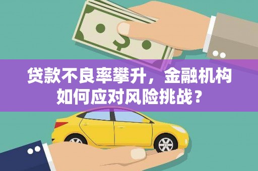固始贷款不良率攀升，金融机构如何应对风险挑战？