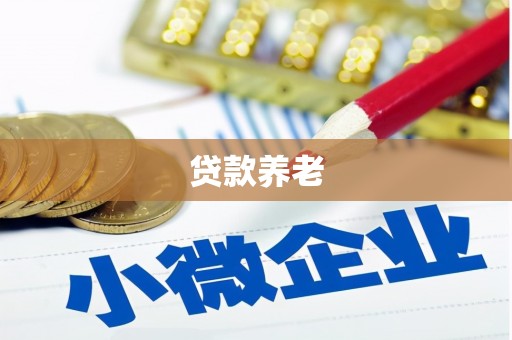 固始贷款养老