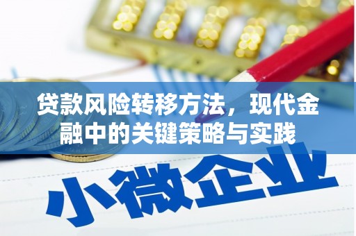 固始贷款风险转移方法，现代金融中的关键策略与实践