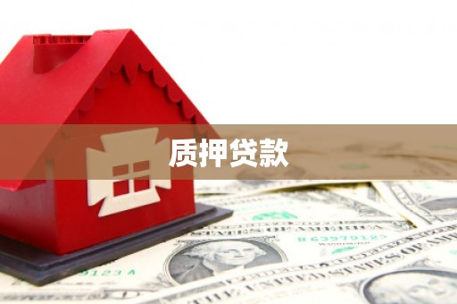固始质押贷款