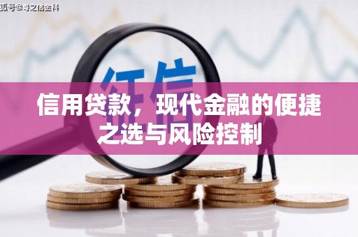 固始信用贷款，现代金融的便捷之选与风险控制