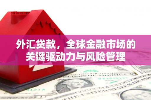 固始外汇贷款，全球金融市场的关键驱动力与风险管理