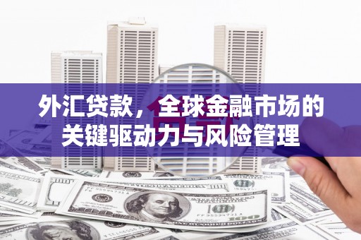 固始外汇贷款，全球金融市场的关键驱动力与风险管理