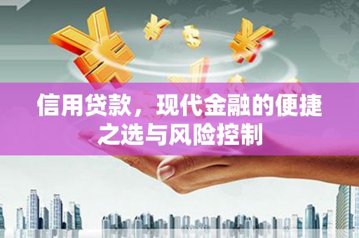 固始信用贷款，现代金融的便捷之选与风险控制