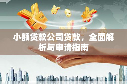 固始小额贷款公司贷款，全面解析与申请指南
