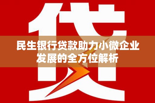 固始民生银行贷款助力小微企业发展的全方位解析