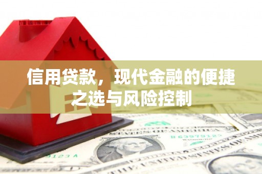 固始信用贷款，现代金融的便捷之选与风险控制