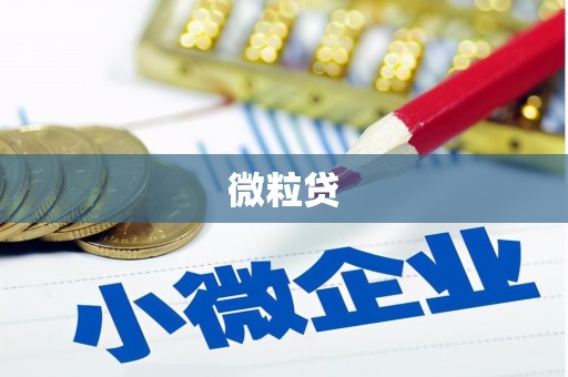 固始微粒贷