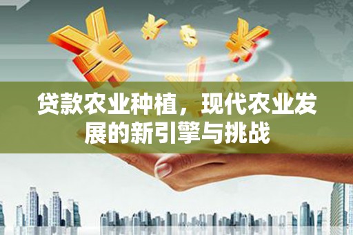 固始贷款农业种植，现代农业发展的新引擎与挑战