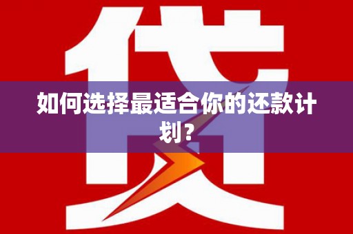 固始如何选择最适合你的还款计划？