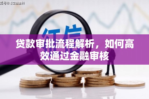 固始贷款审批流程解析，如何高效通过金融审核
