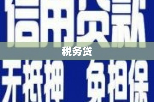 固始税务贷